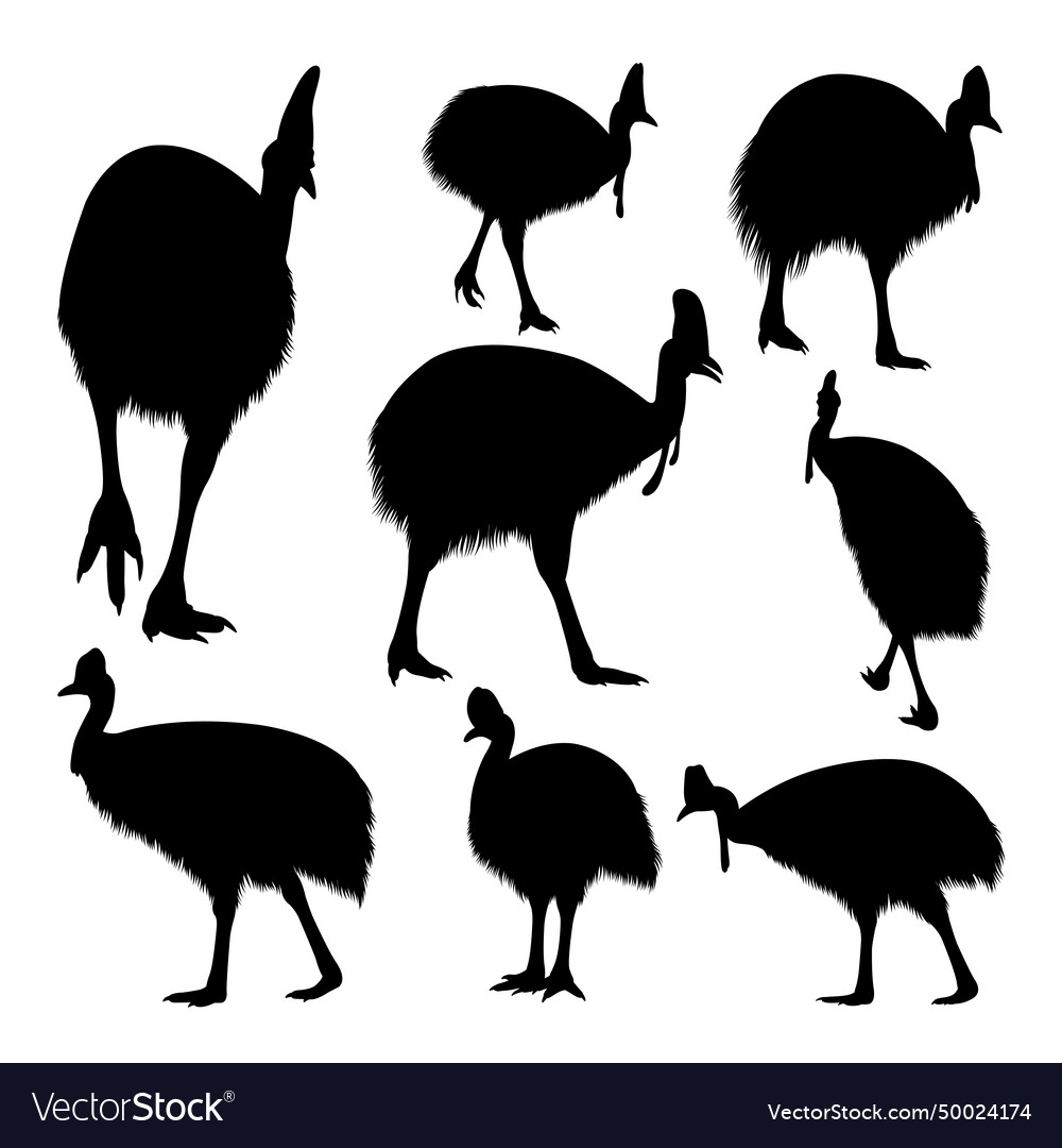 Cassowary bird tropical animal silhouettes Vector Image