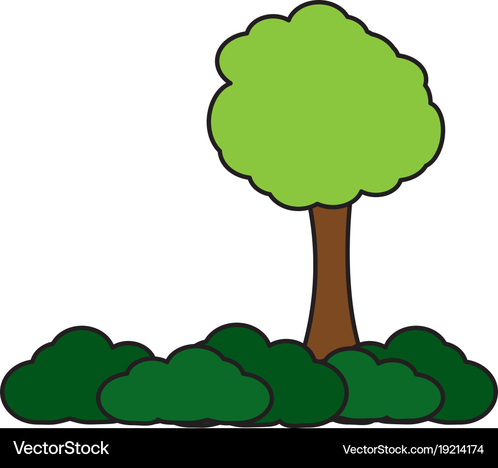 Isolated tree design Royalty Free Vector Image