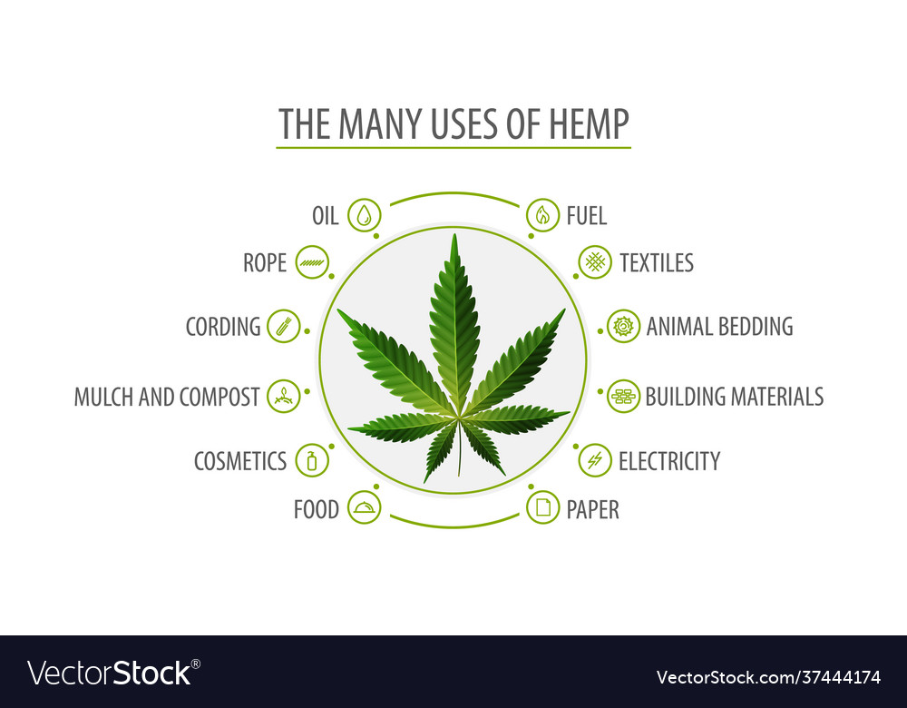 Many uses hemp white poster with infographic