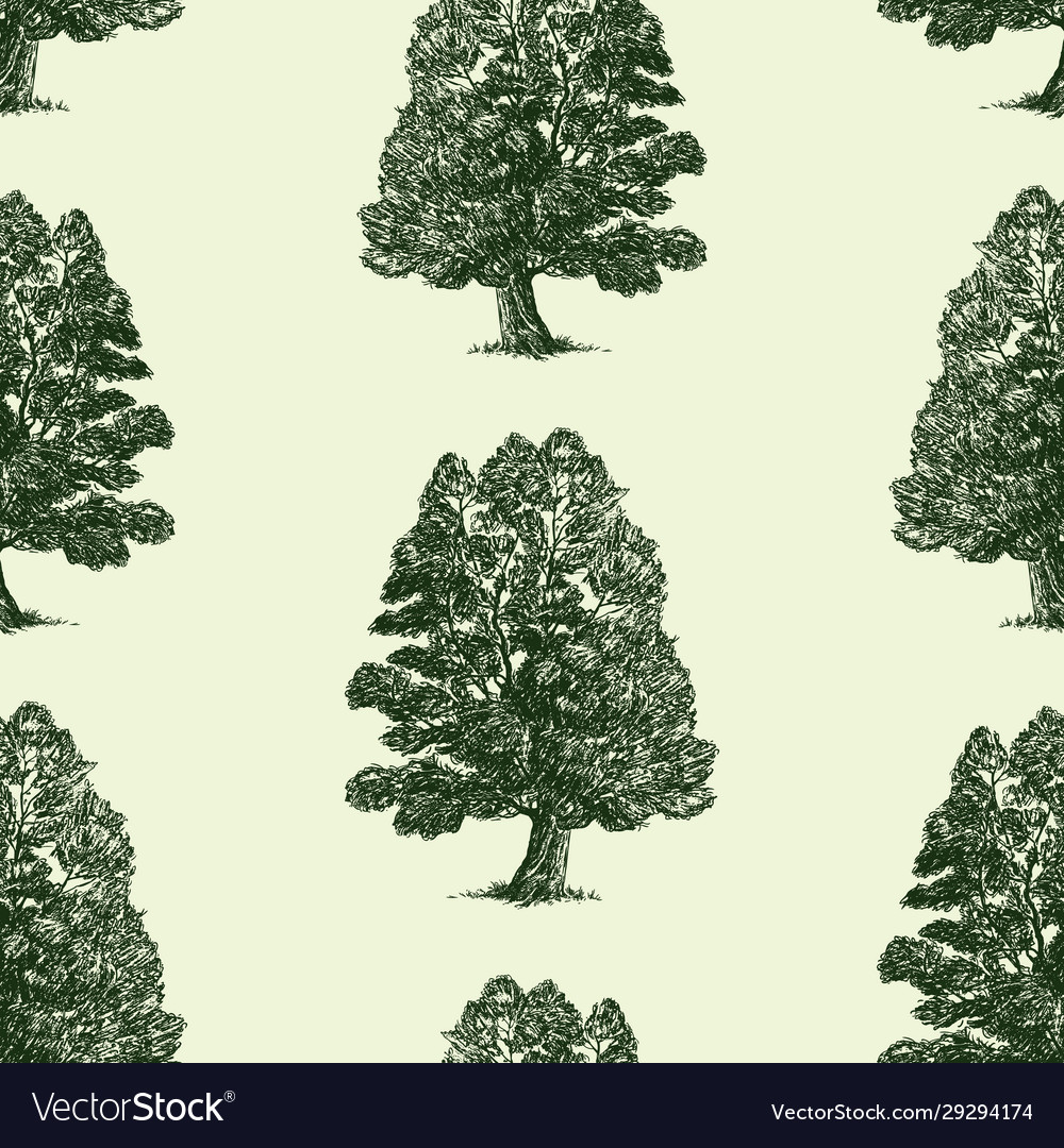 Seamless pattern sketches deciduous tree