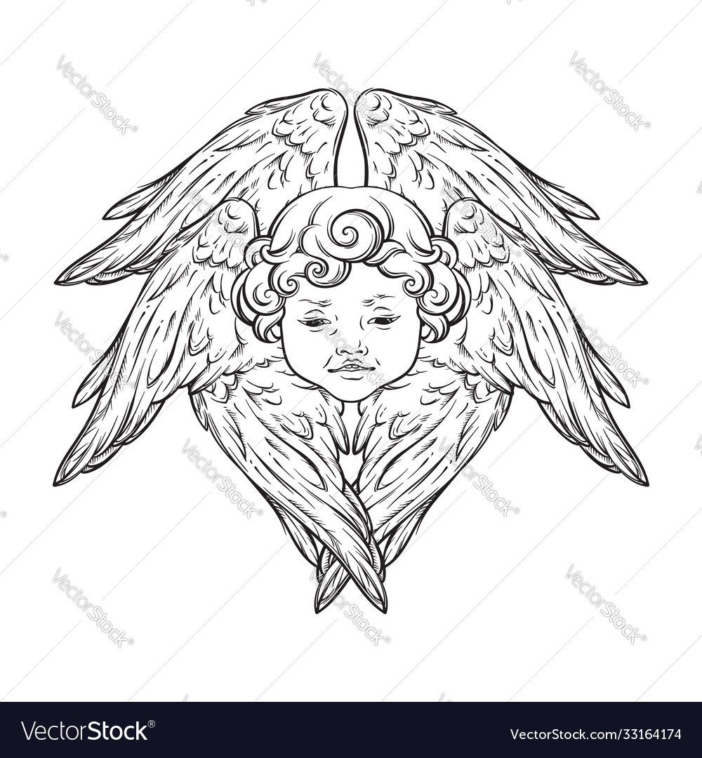 Six winged cherub cute winged curly smiling baby Vector Image