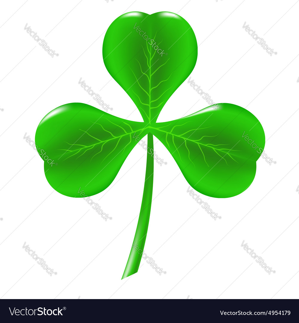 Green clover Royalty Free Vector Image - VectorStock