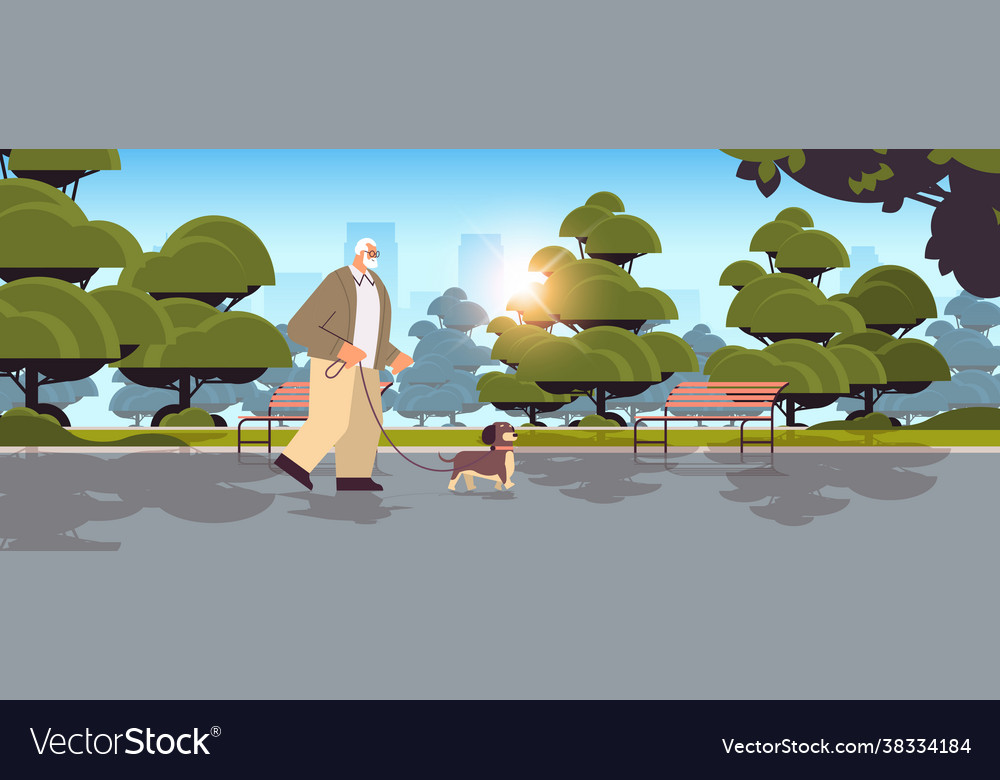 Active senior man walking in park with his little