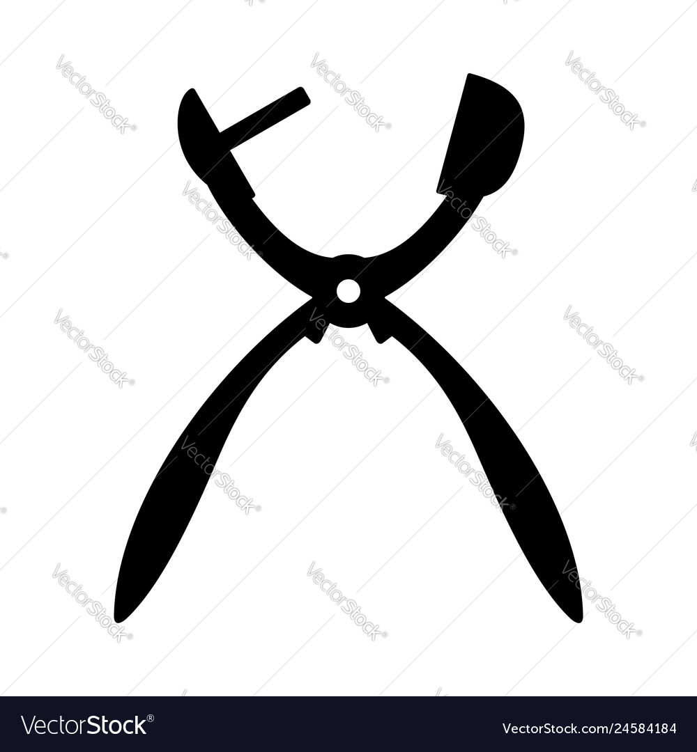 Cherry pitter Royalty Free Vector Image - VectorStock