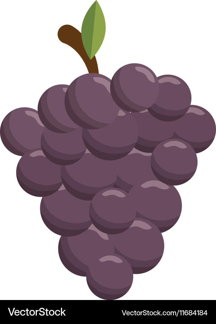 Fresh fruit isolated icon Royalty Free Vector Image