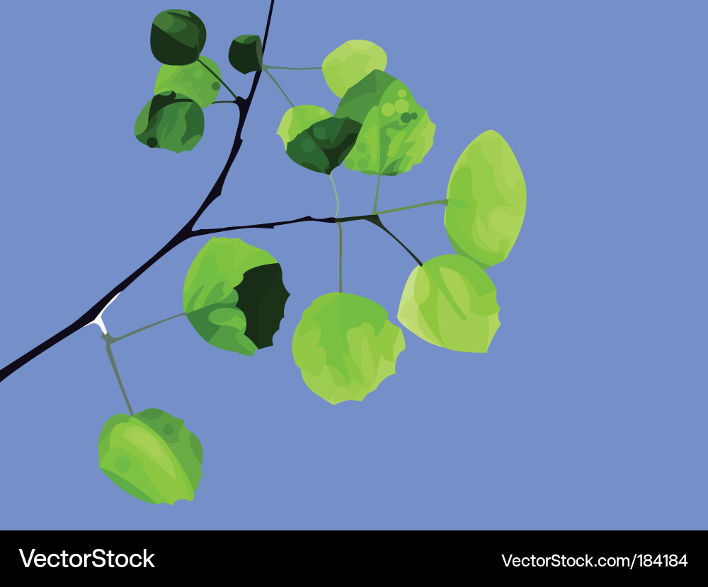 Leaves Royalty Free Vector Image - VectorStock