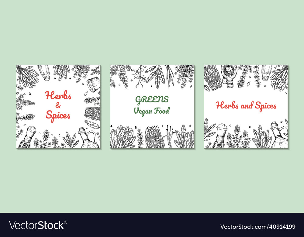 Hand drawn herbs and greens design