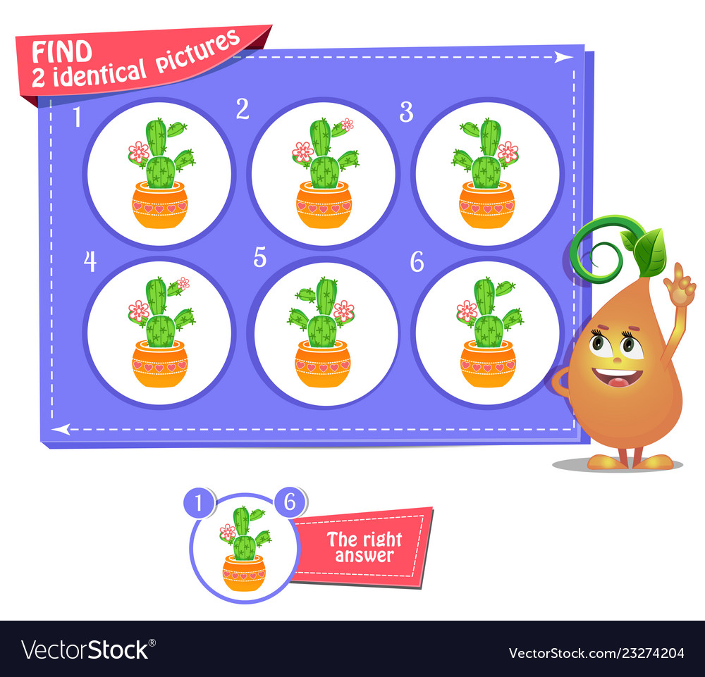 Fnd 2 identical cactus Royalty Free Vector Image