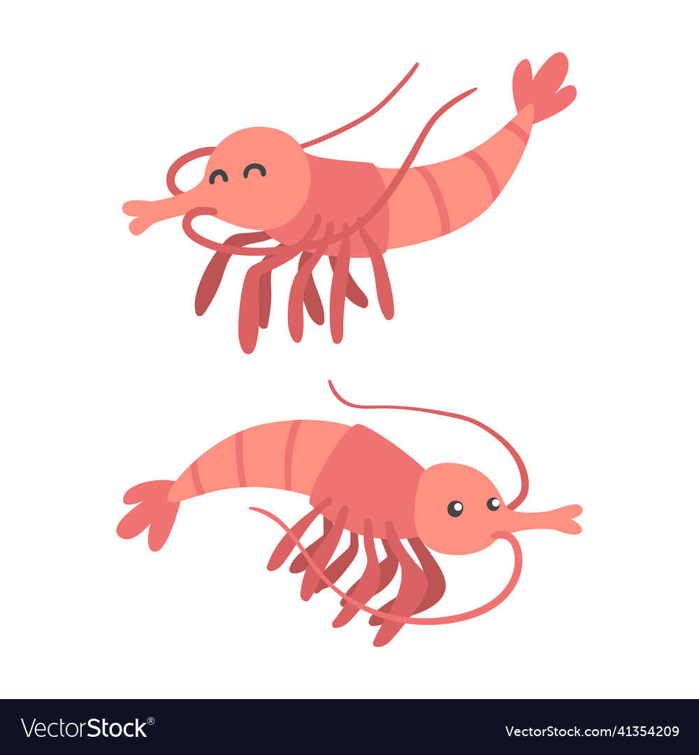 Shrimp character as aquatic mammal with funny face