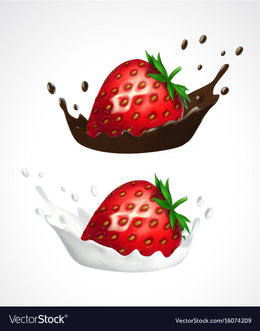 Strawberry with milk and chocolate splash Vector Image