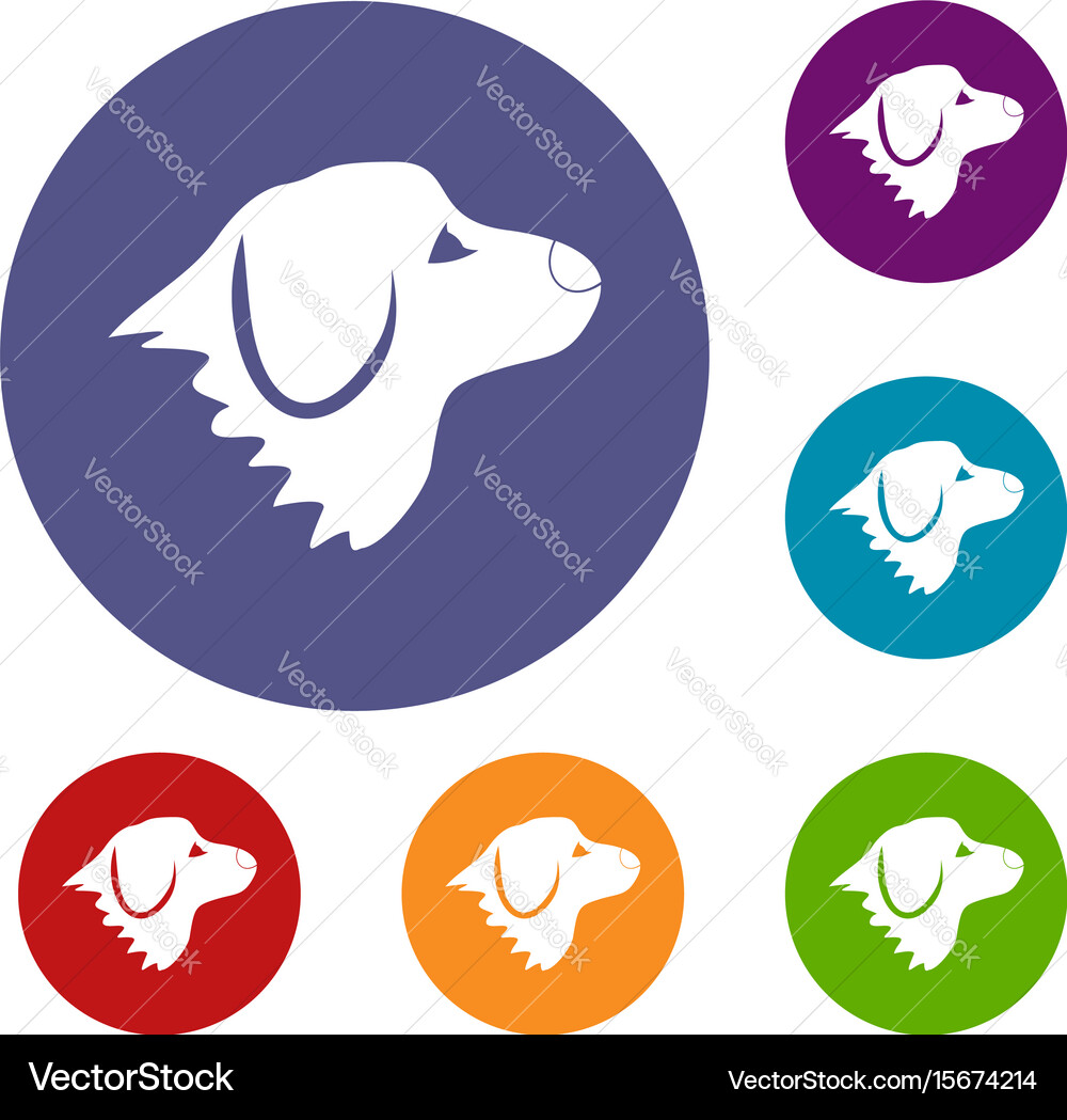 Retriever dog icons set Royalty Free Vector Image