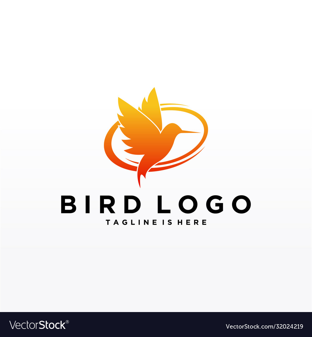 Abstract bird logo design template creative dove Vector Image