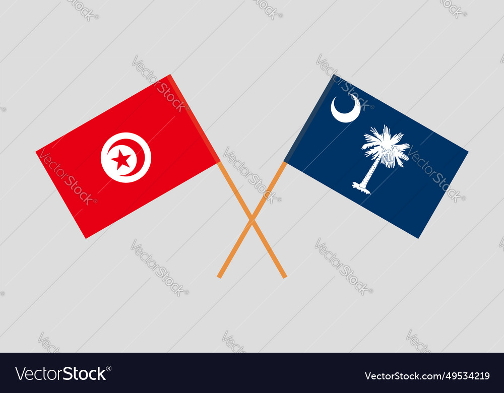 Crossed flags of tunisia and the state south