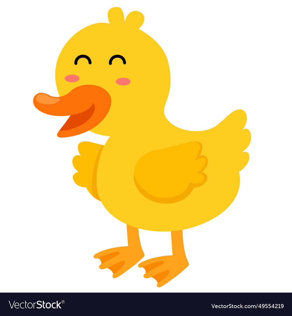 Duck white on background