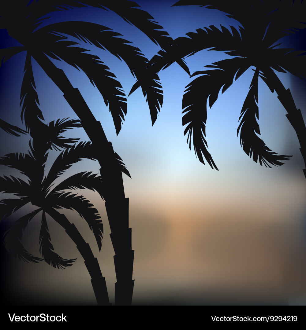 Palms sunset background Royalty Free Vector Image