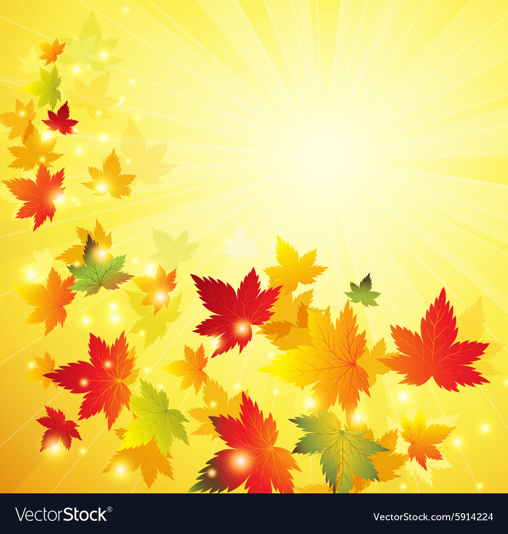 Autumn maple leaves background Royalty Free Vector Image