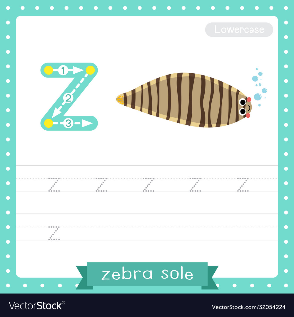 letter z lowercase tracing practice worksheet vector image