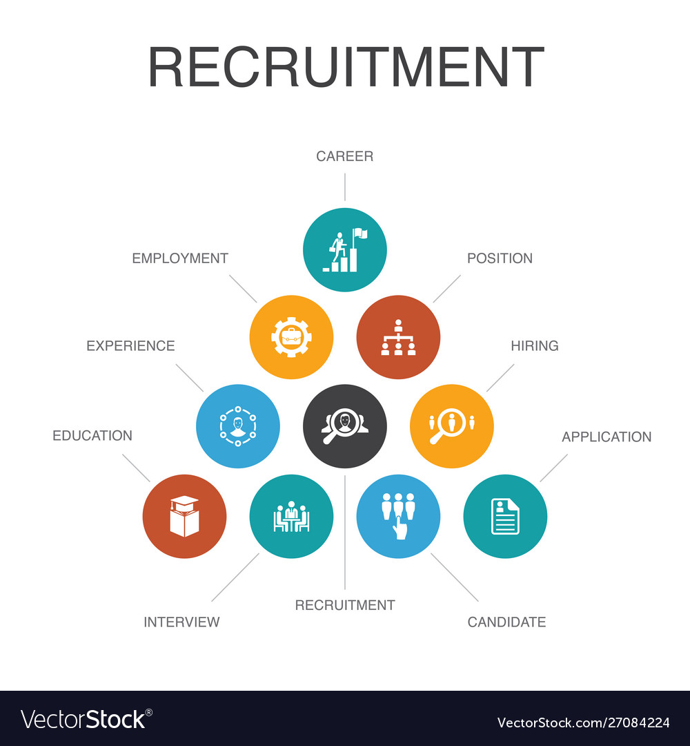 Recruitment infographic 10 steps conceptcareer Vector Image