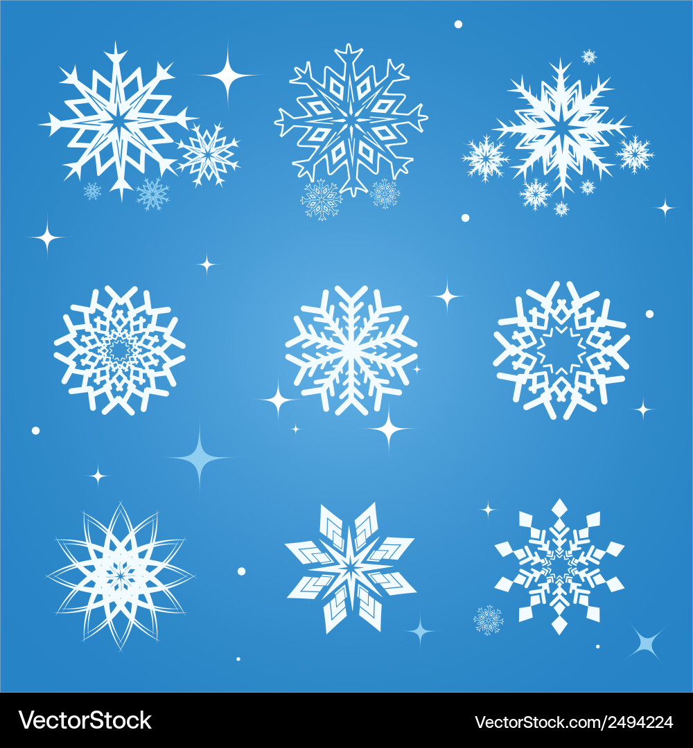 Snowflakes set Royalty Free Vector Image - VectorStock