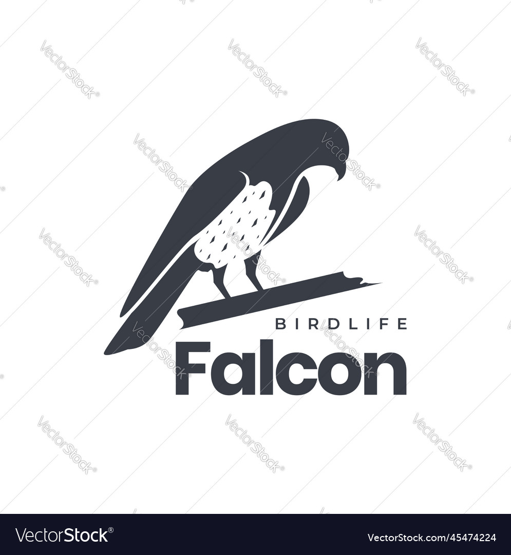 Wildlife bird perched hunting prey falcon Vector Image