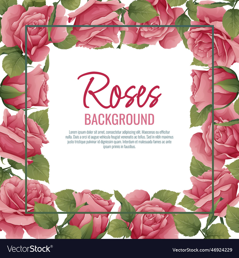 Frame with roses border with pink flowers Vector Image