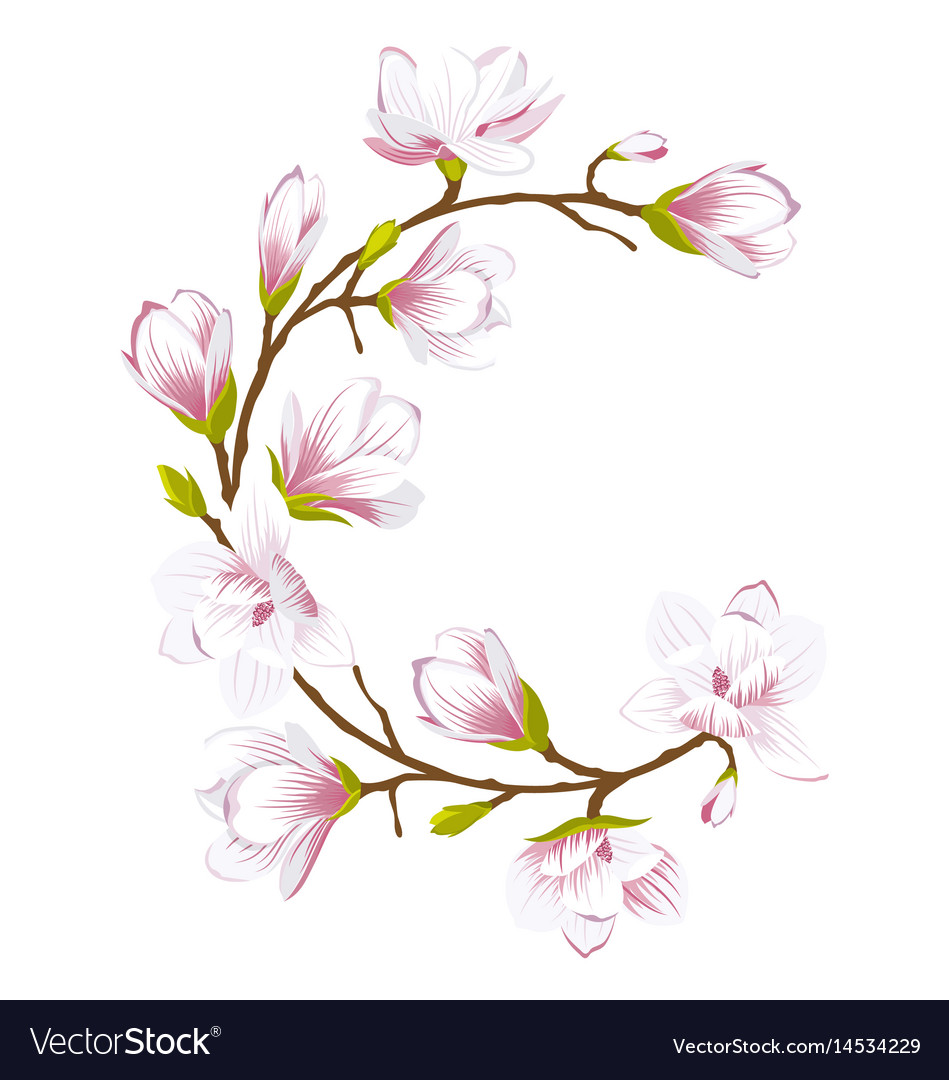 Round frame made beautiful magnolia flowers Vector Image