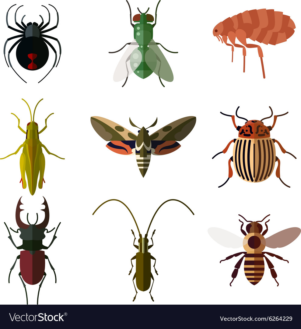 Set of insect flat icons2 Royalty Free Vector Image