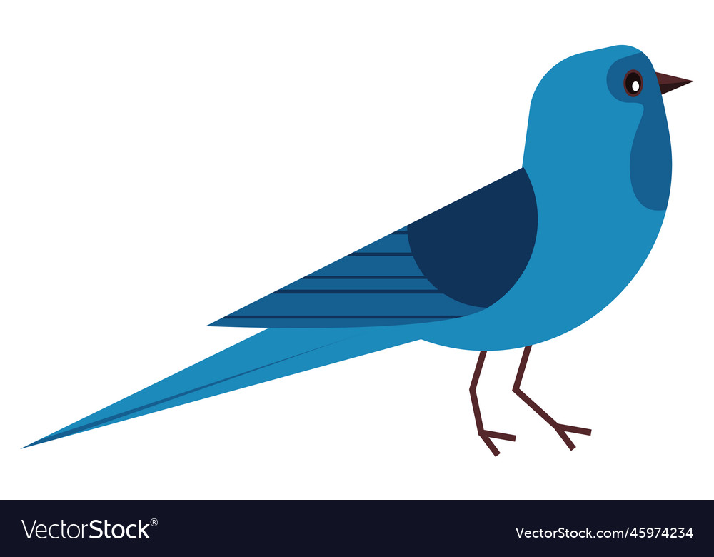 Little blue bird Royalty Free Vector Image - VectorStock