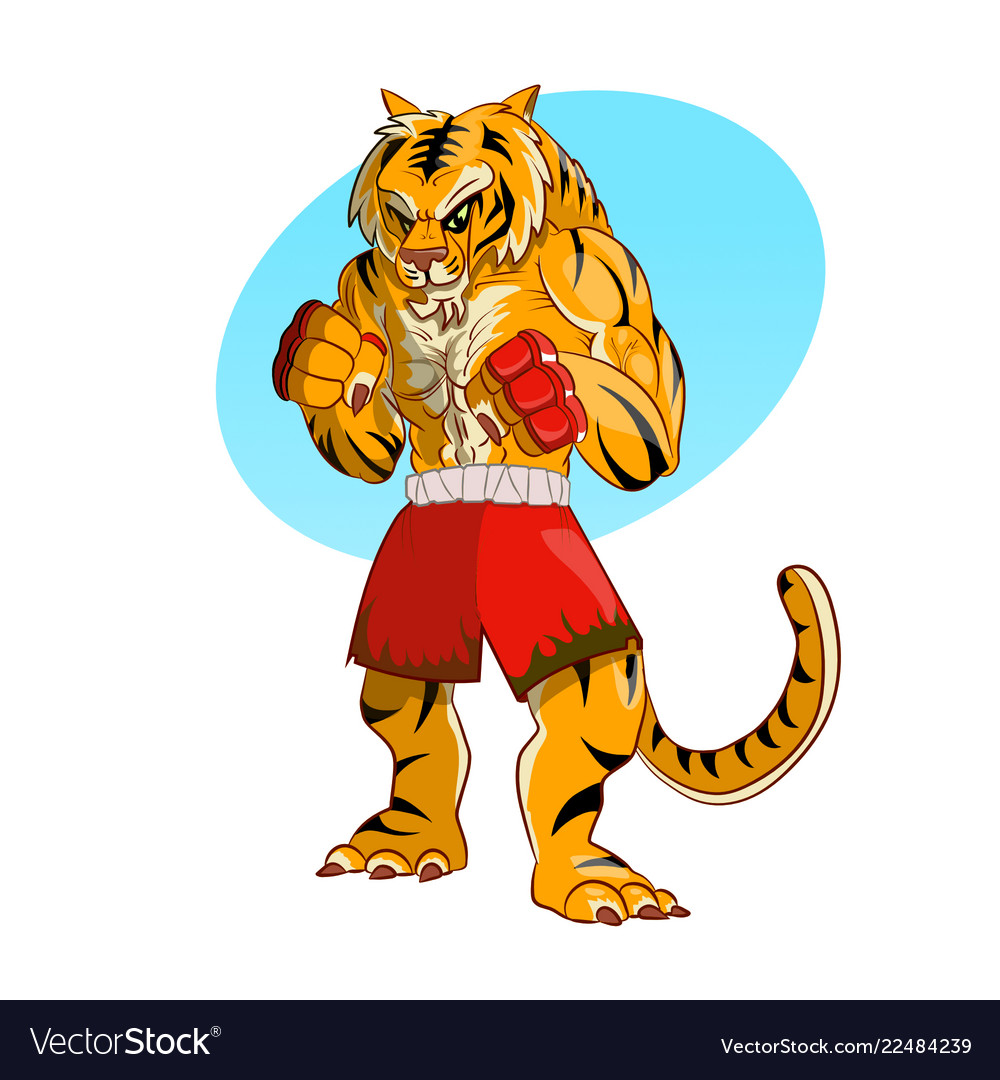 A tiger fighter