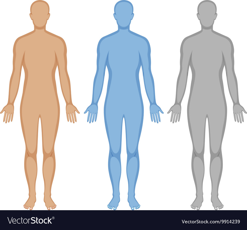 human body outline printable