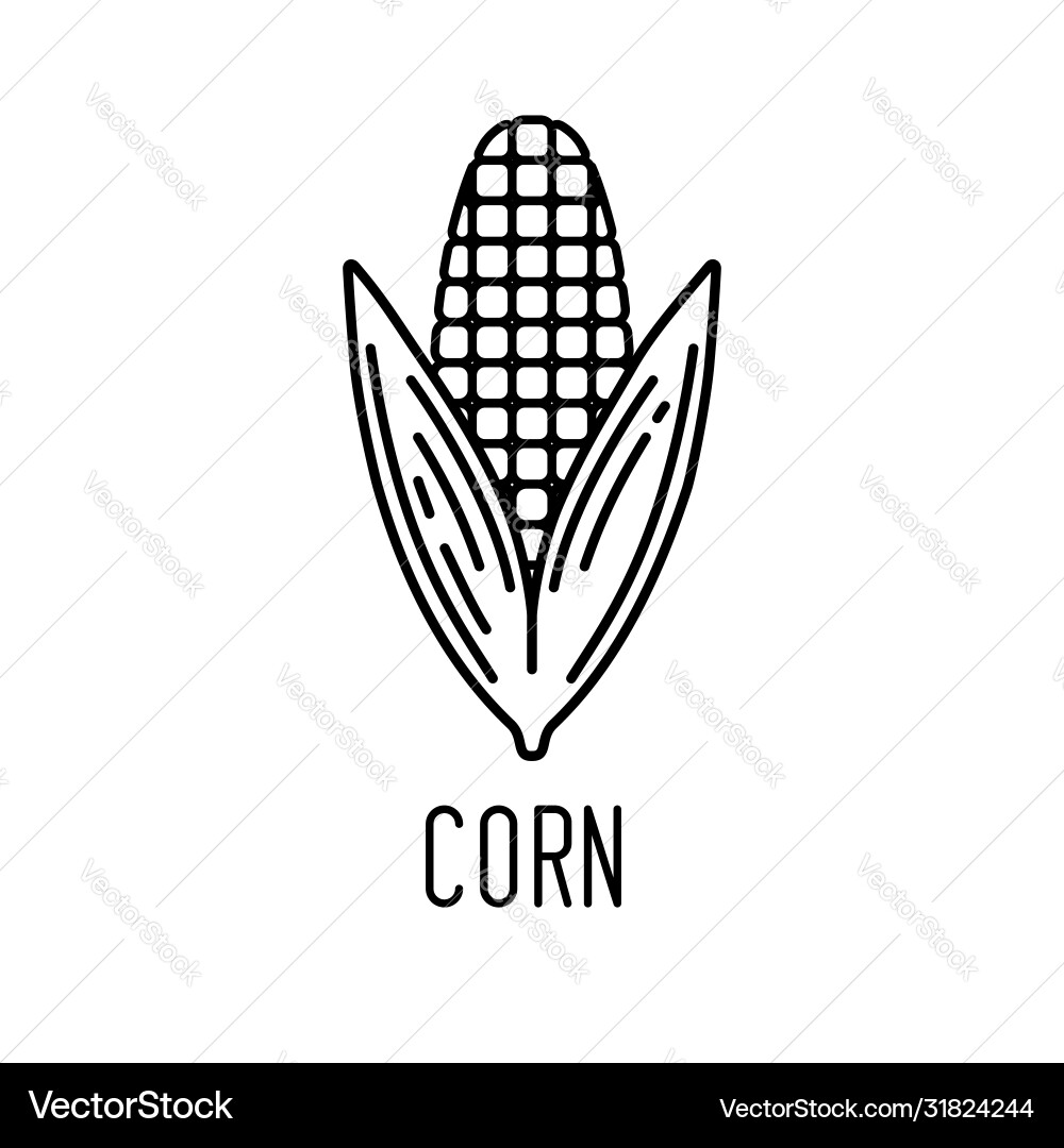 Corn line icon Royalty Free Vector Image - VectorStock