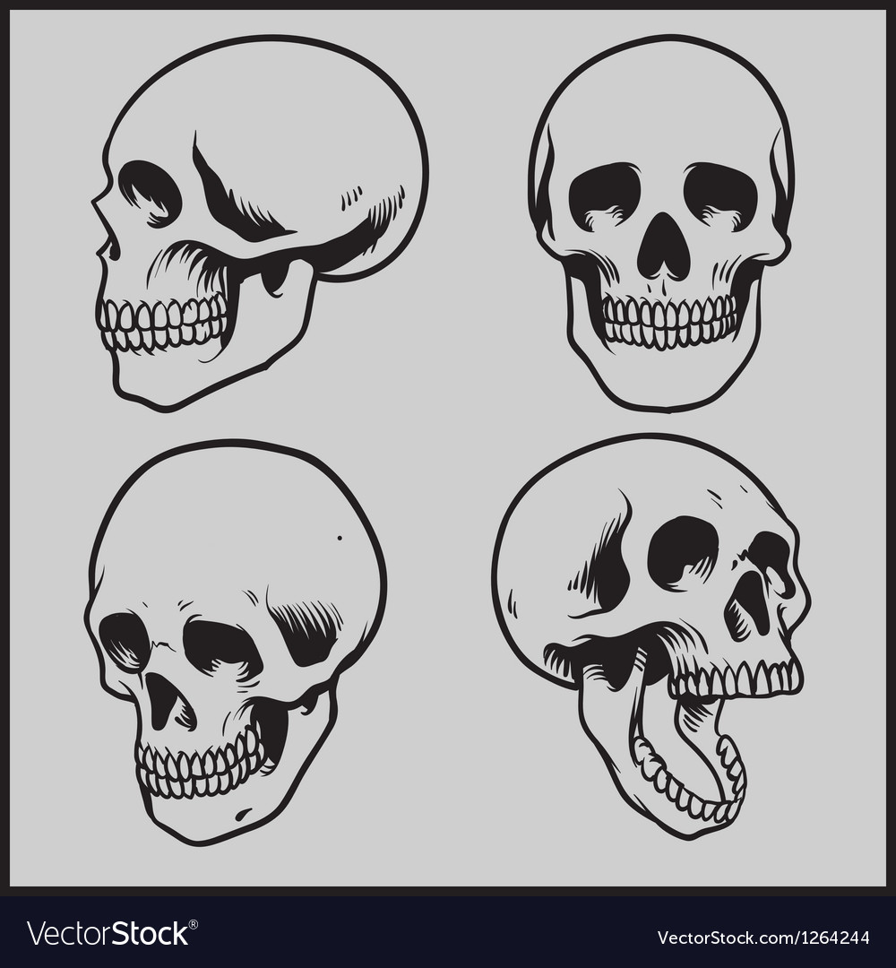 Skull set Royalty Free Vector Image - VectorStock