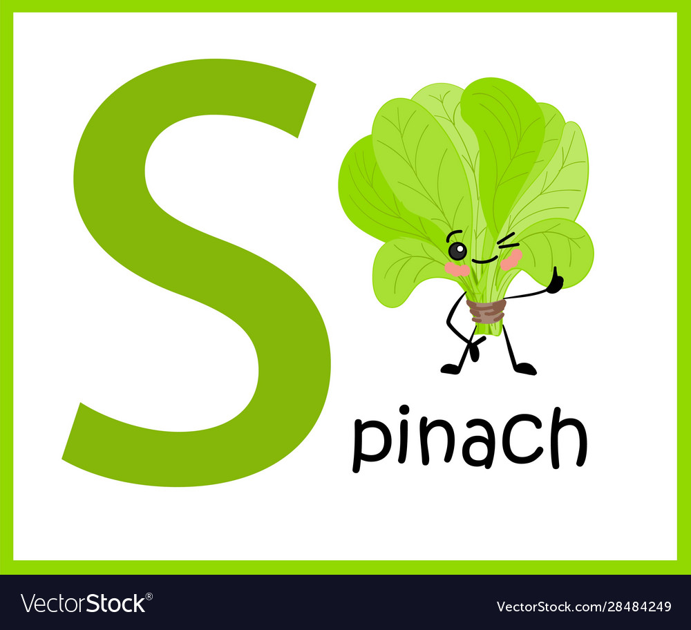 Alphabet is english letter s spinach