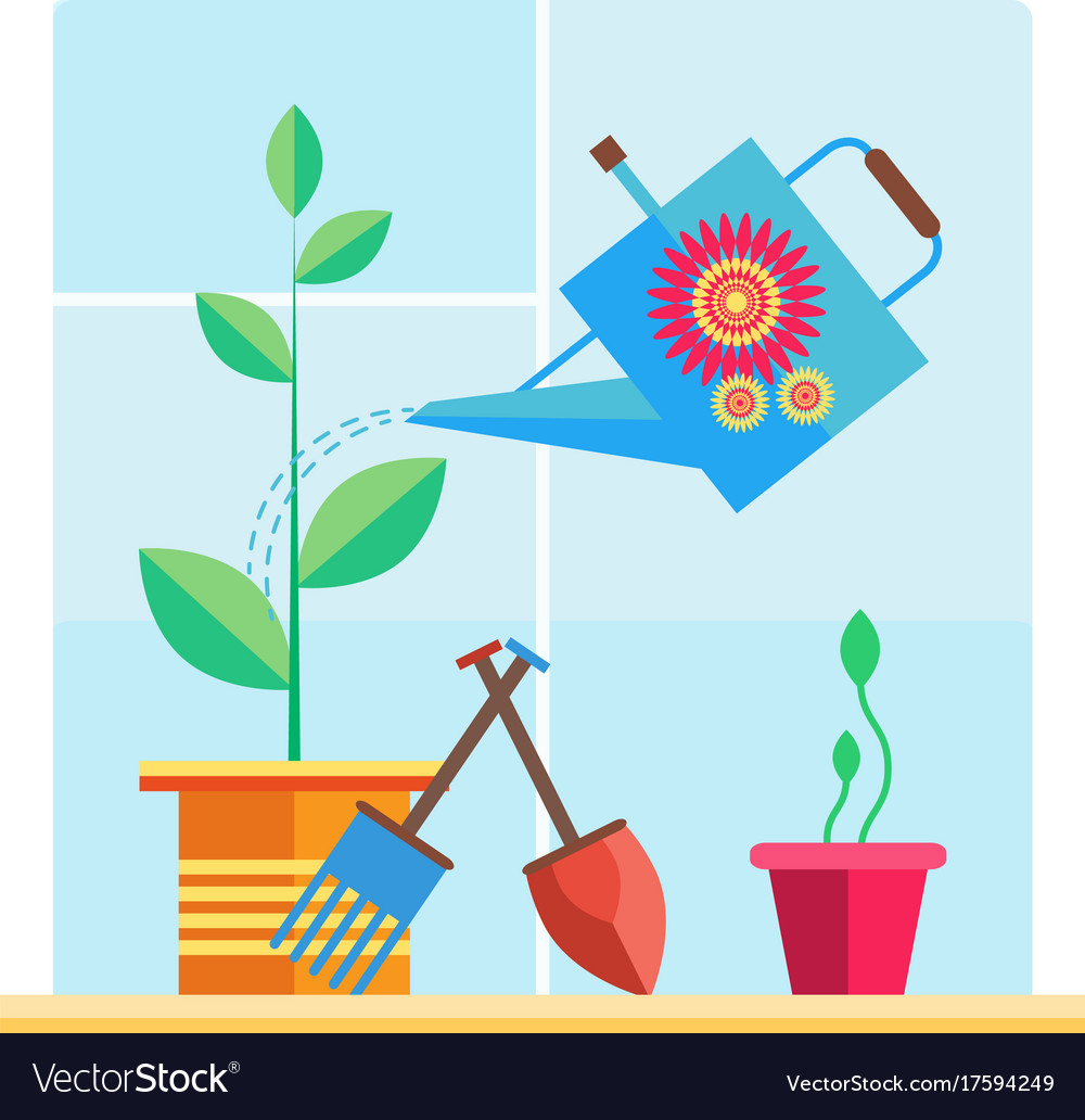 Garden on the windowsill Royalty Free Vector Image