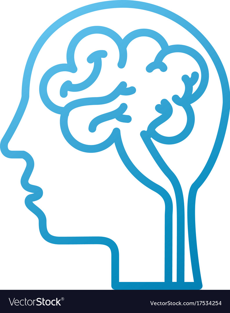 Human head and brain icon mind concept