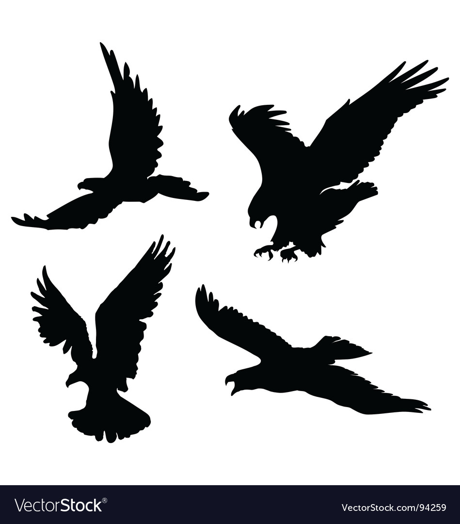 Eagle silhouettes Royalty Free Vector Image - VectorStock