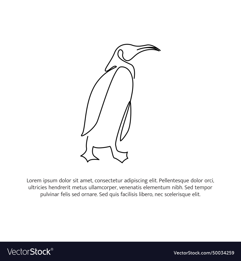 Penguin line design simple animal silhouette