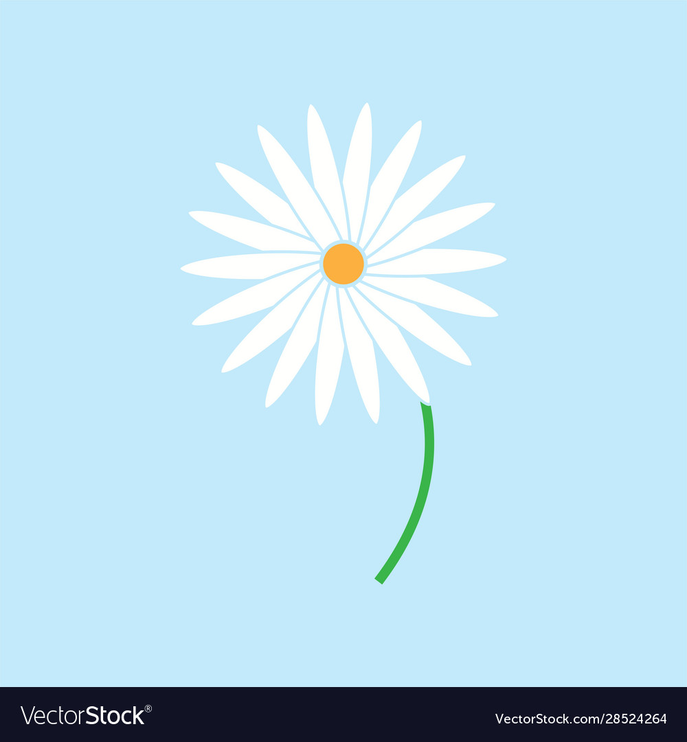 Flower icon design template isolated