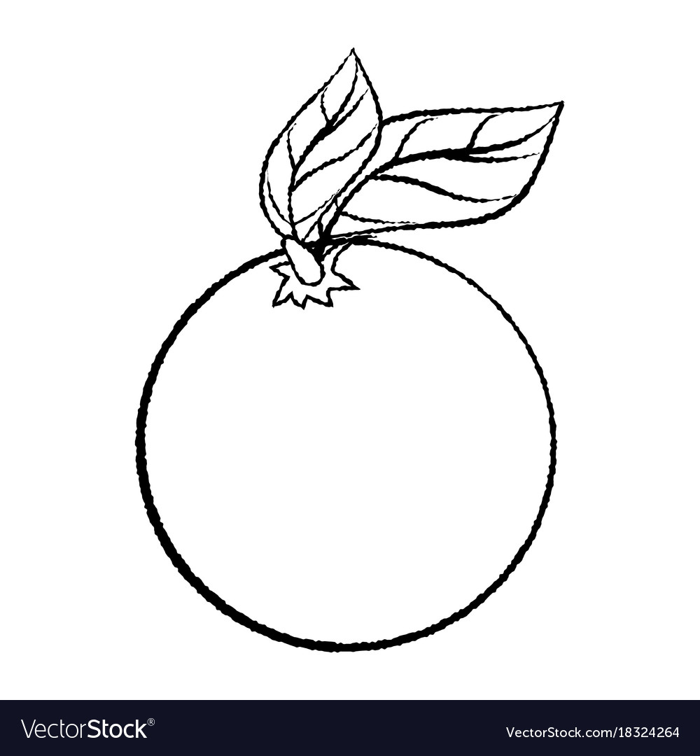 How to Draw an Orange