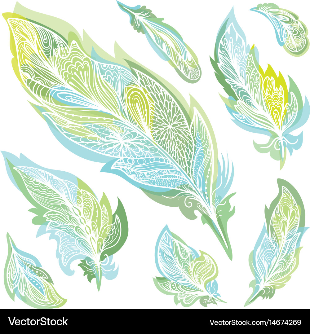 Feathers set Royalty Free Vector Image - VectorStock