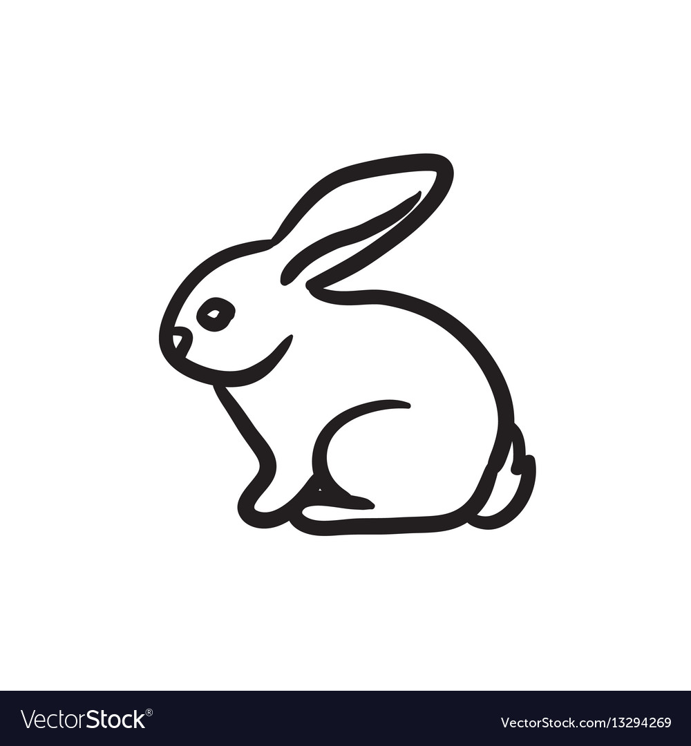 Rabbit sketch icon Royalty Free Vector Image - VectorStock