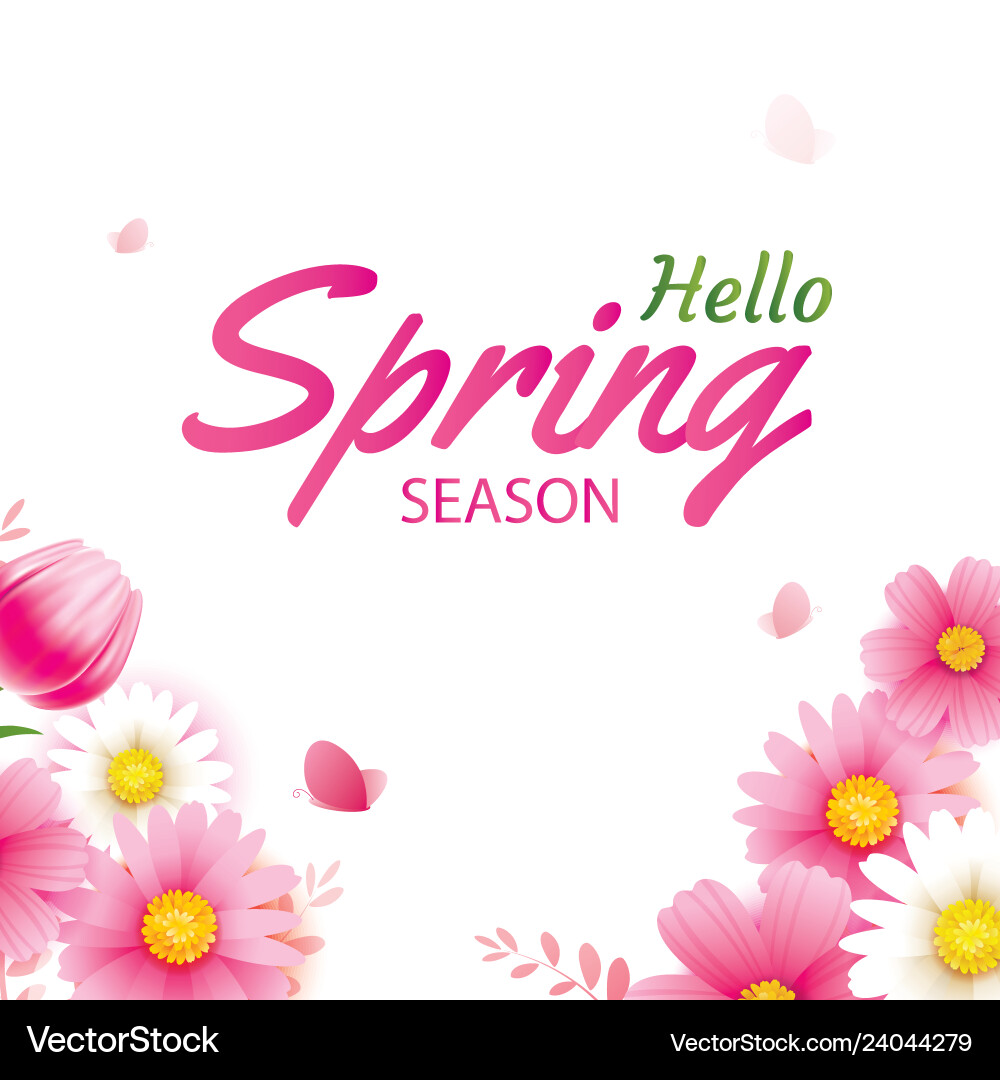 Hello spring greeting card and invitation Vector Image