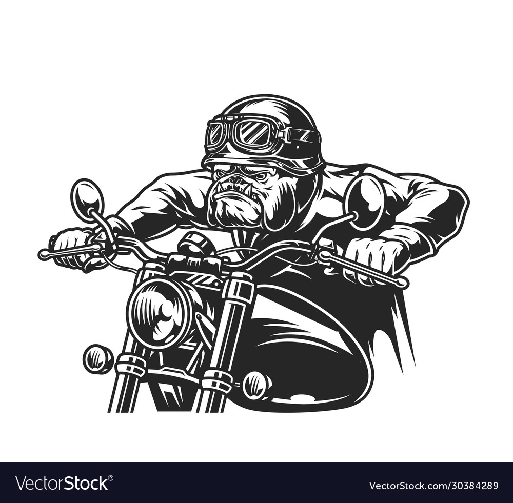 bulldog motorcycle helmet