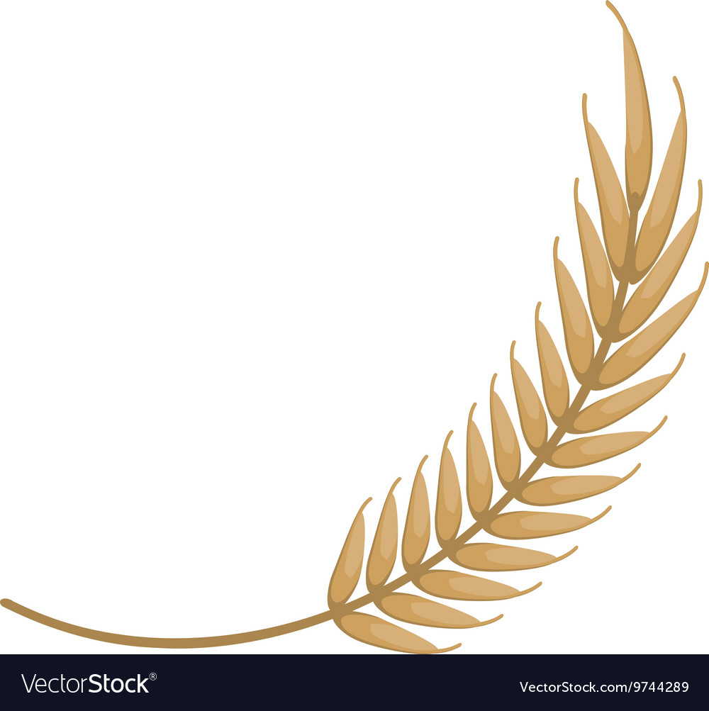 Wheat spike icon design