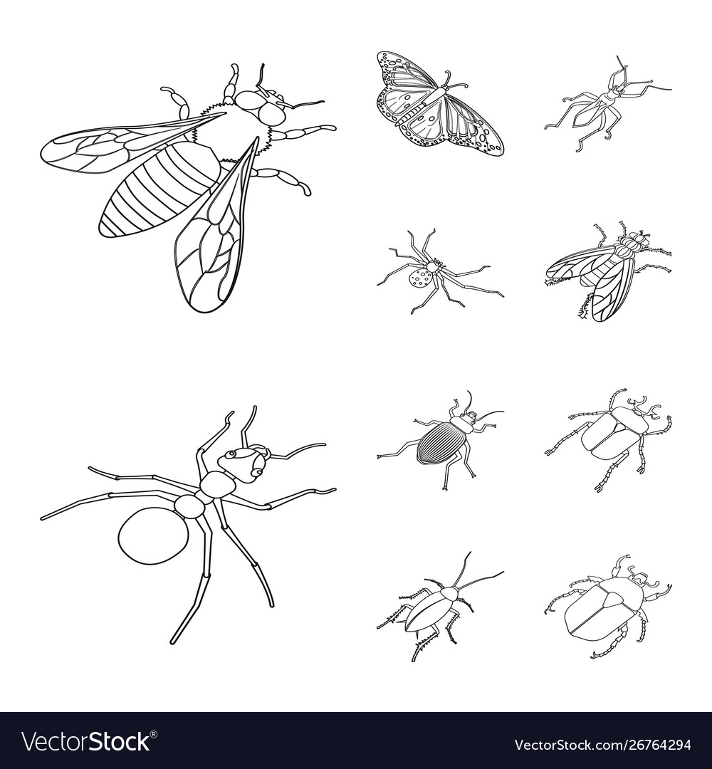 Design fauna and entomology logo Royalty Free Vector Image