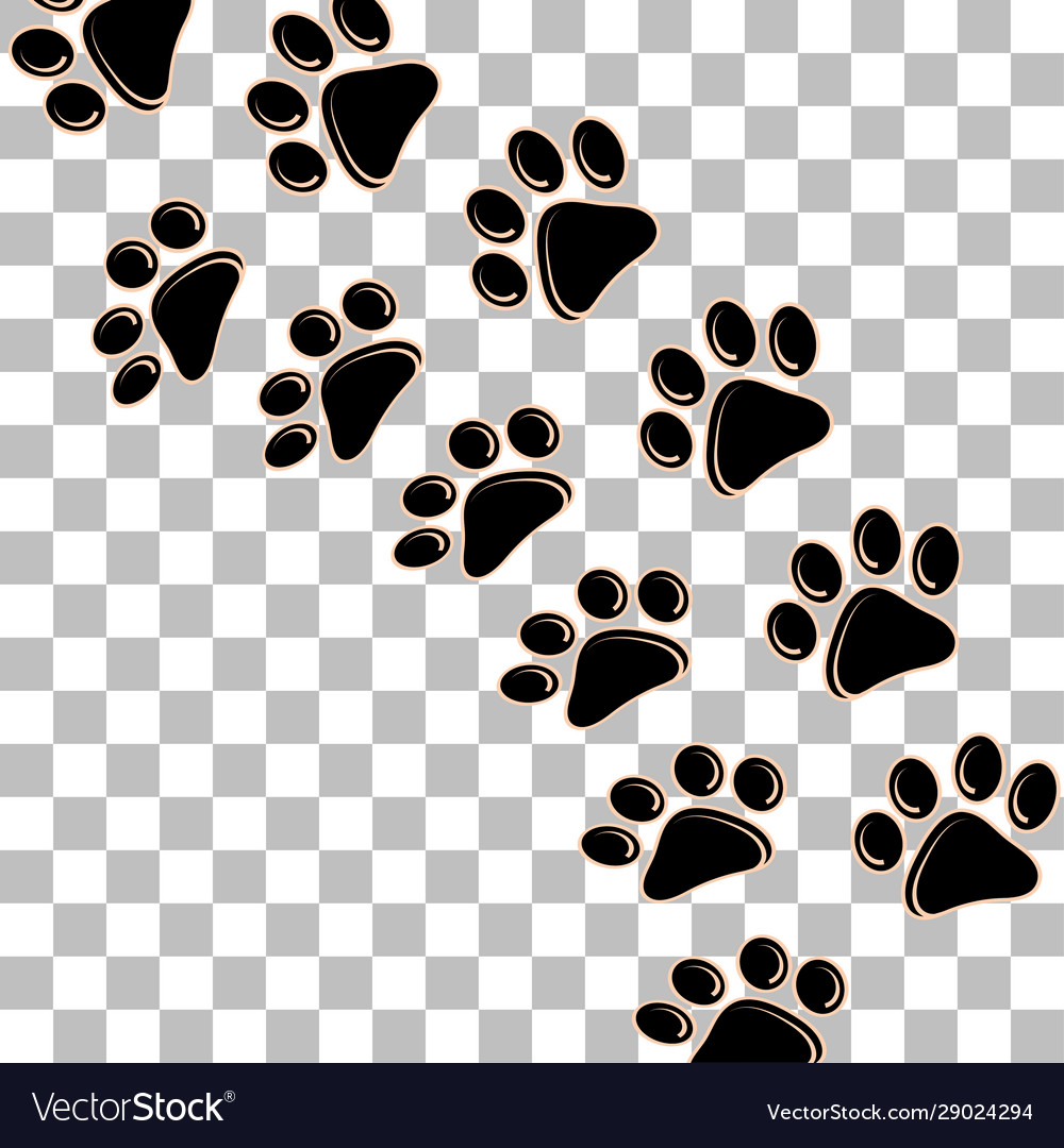 Dog or cat footprint icon on a white background