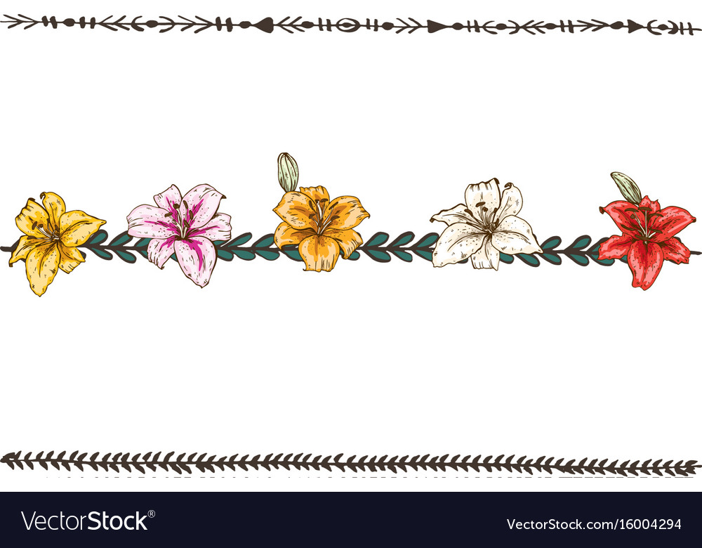 Doodle floral line with colorful lilies flower