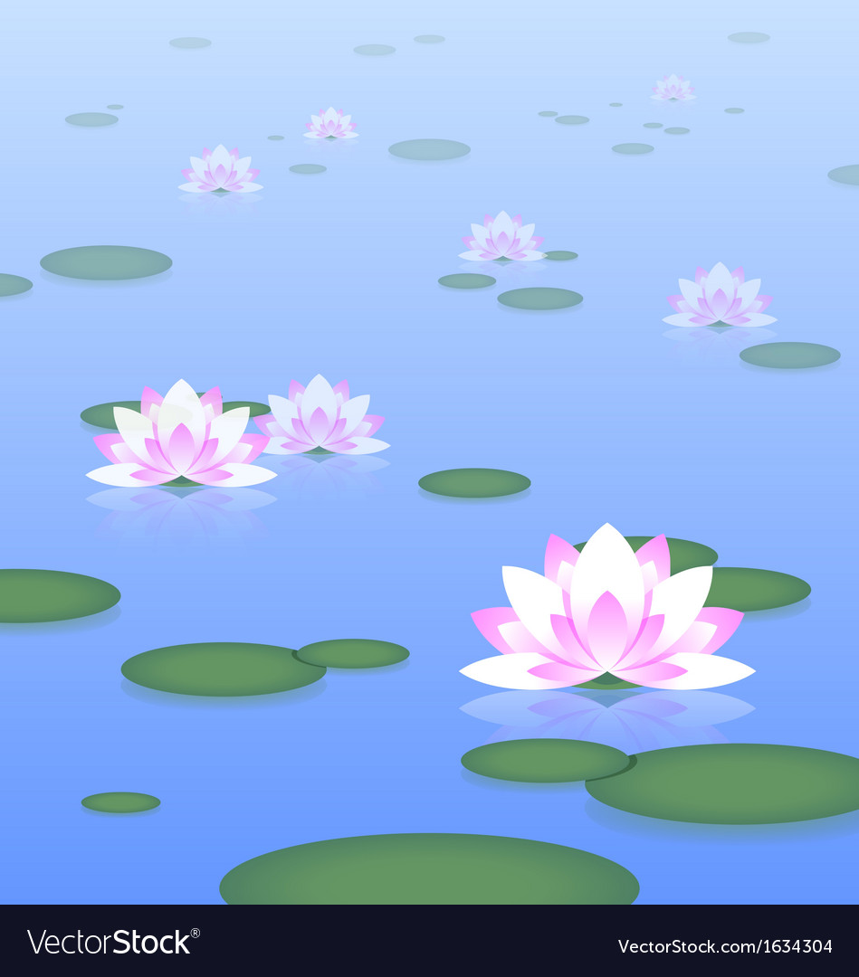 Lotus pond Royalty Free Vector Image - VectorStock