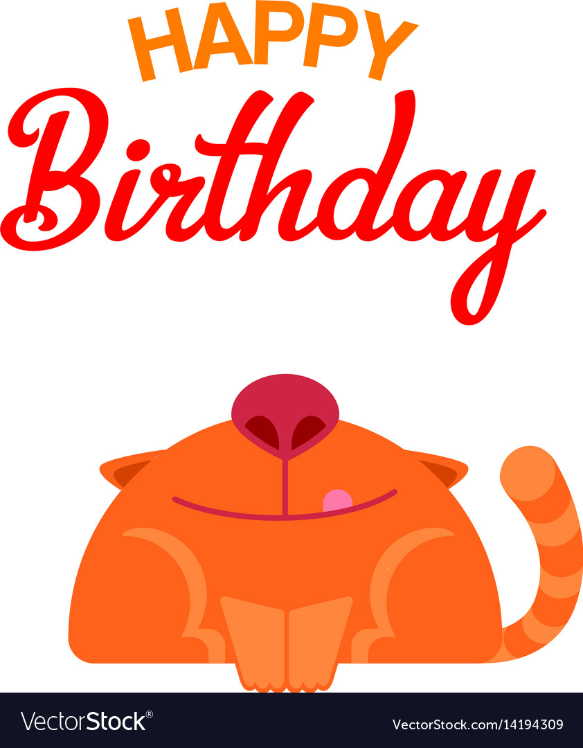 Happy birthday cat card