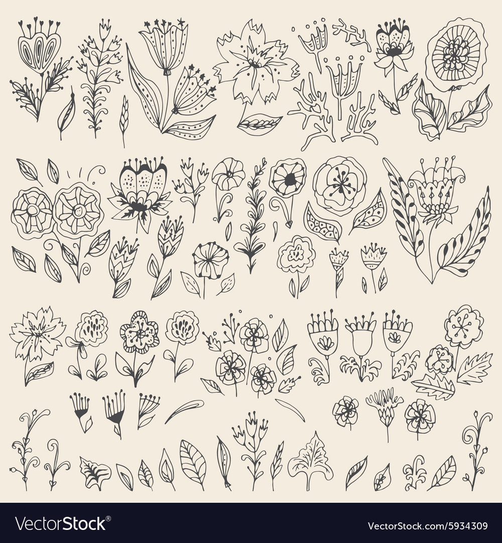 Set hand drawn flowers and leaves Royalty Free Vector Image